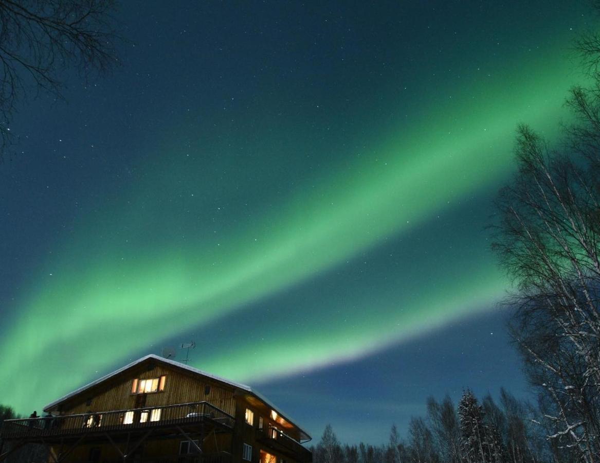 Alaska Grizzly Lodge Fairbanks Exterior foto