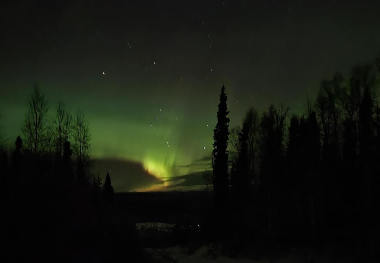 Alaska Grizzly Lodge Fairbanks Exterior foto